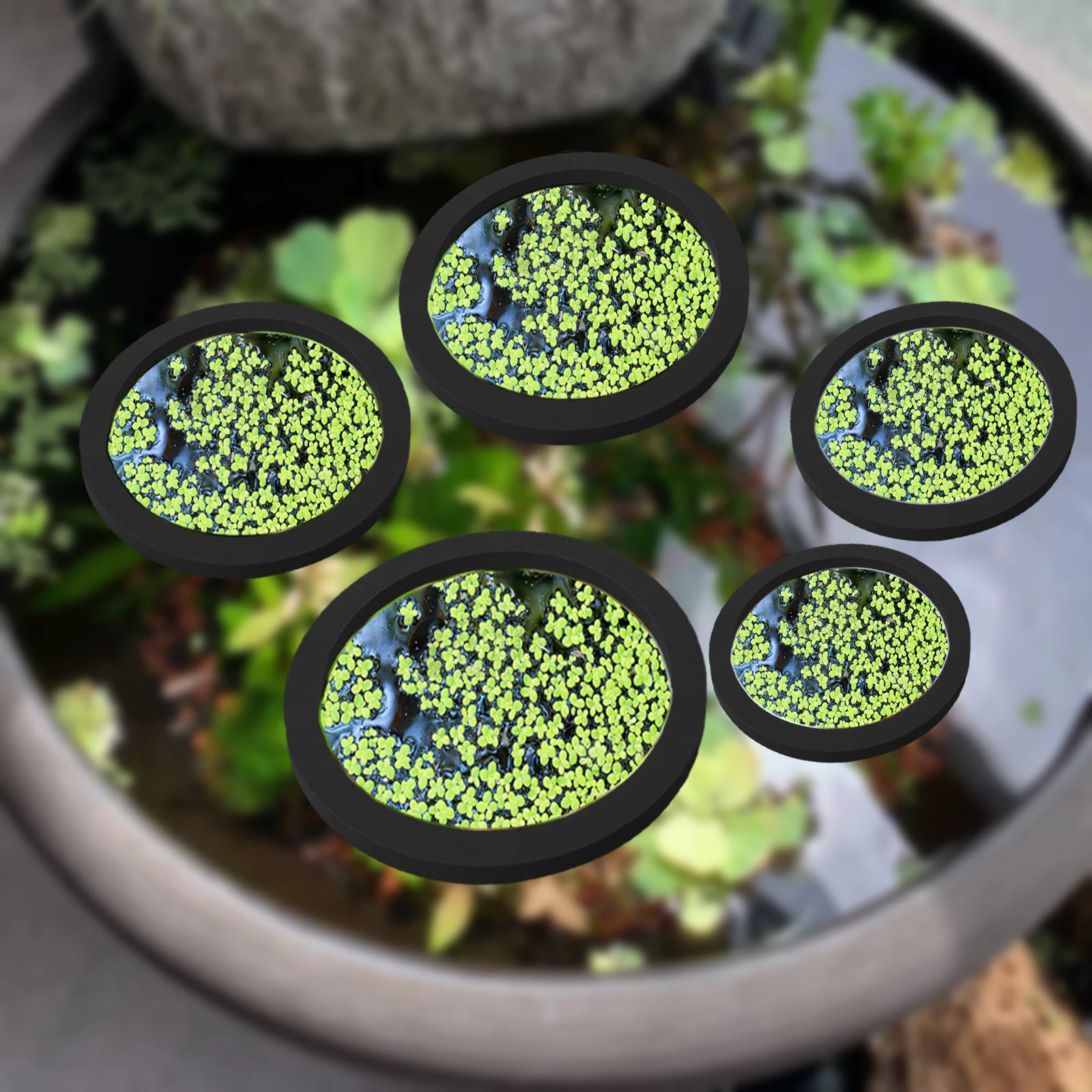 Fish Aquarium Home - 5Pcs EVA Fisch Fütterung Ring Aquarium