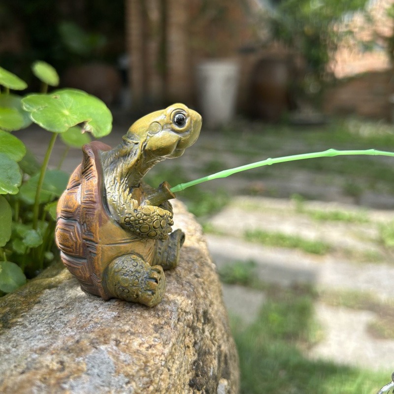 Schildkröten-Aquarium-Dekorati – Fish Aquarium Home Bewertung und Preis