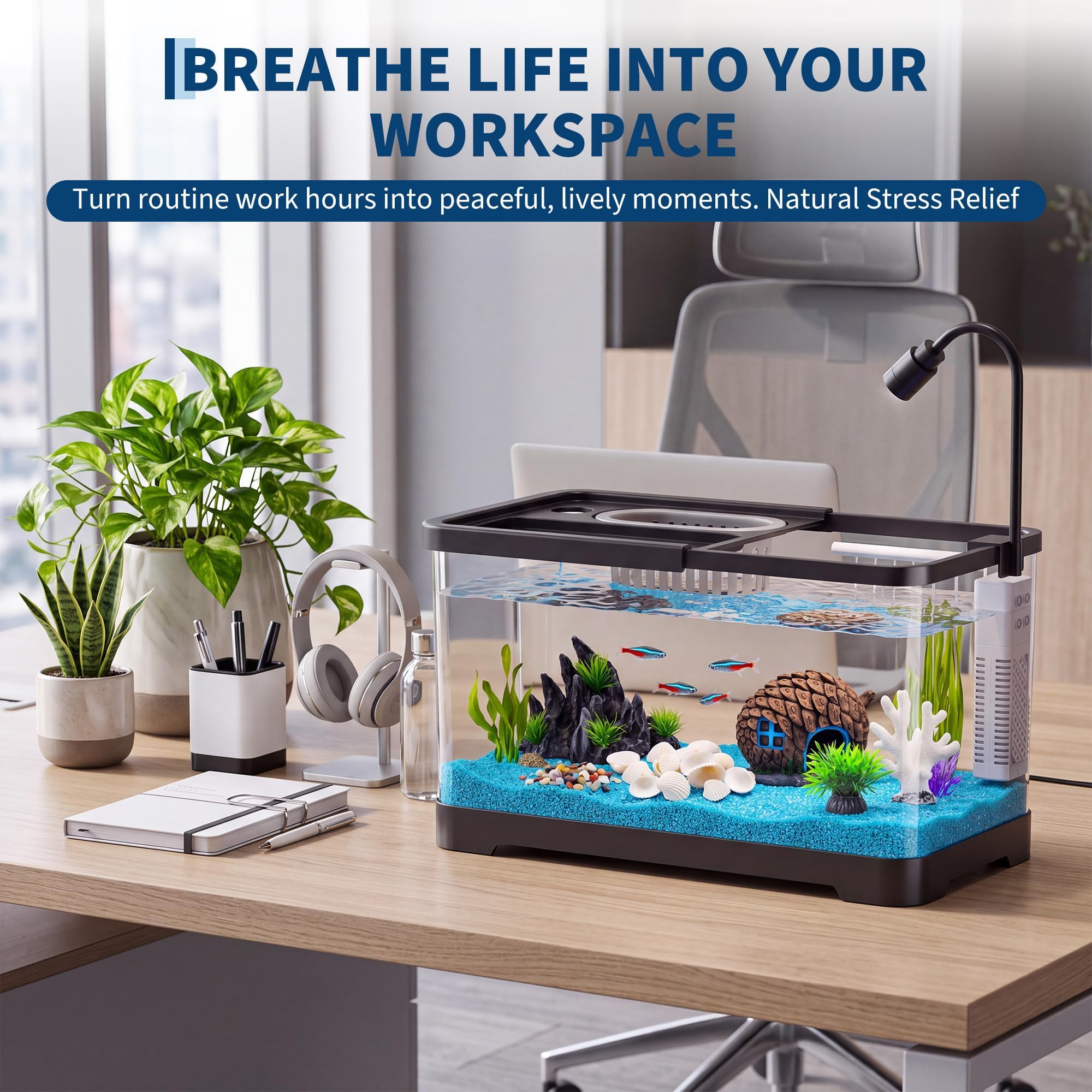 Aquarium-Starter-Set mit Filte – Betta Fish Tank Bewertung und Preis