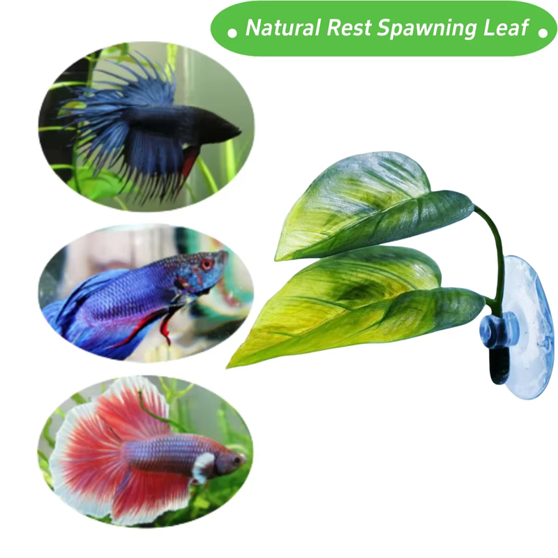 Aquarium-Zubehör Dekoration Kü – Betta Fish Tank Bewertung und Preis