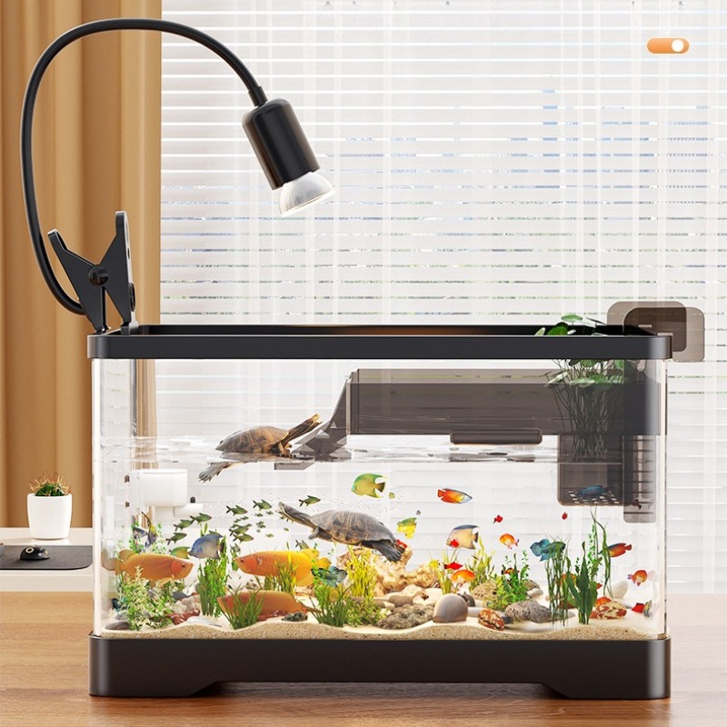 Acryl-Fischaquarium Ultra-Klar – Betta Fish Tank Bewertung und Preis